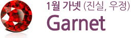 1월 가넷