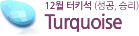 12월 터키석